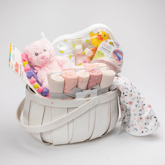 Beeb's Baby Girl Gift Basket